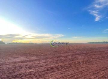 Imagem 1 · Fazenda