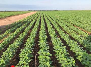Imagem 1 · Fazenda