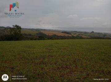 Imagem 1 · Fazenda