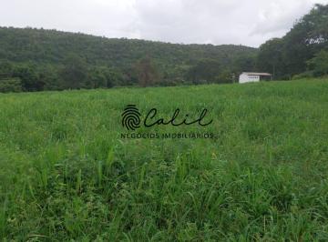 Imagem 1 · Fazenda