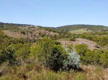 Imagem 1 · Fazenda