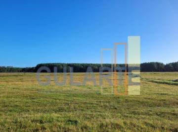 Imagem 1 · Fazenda