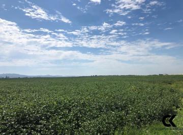 Imagem 1 · Fazenda