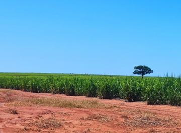 Imagem 1 · Fazenda