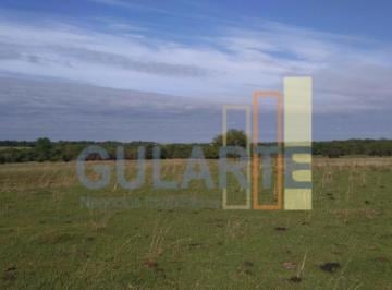 Imagem 1 · Fazenda