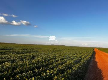 Imagem 1 · Fazenda