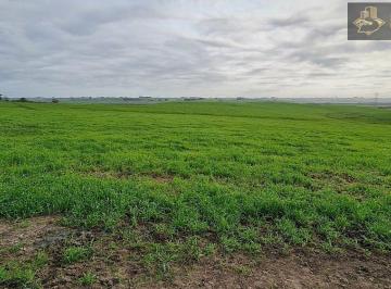 Imagem 1 · Fazenda para venda em Colônia Nova, Aceguá