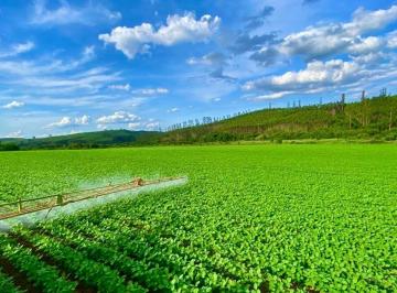 Imagem 1 · Fazenda