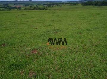 Imagem 1 · Fazenda para venda em Centro, Americano do Brasil