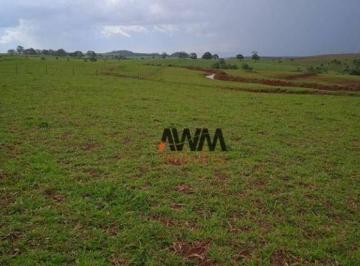 Imagem 1 · Fazenda