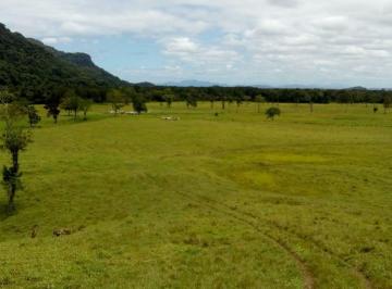 Imagem 1 · Fazenda