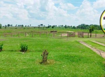 Imagem 1 · Fazenda