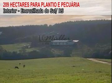 Imagem 1 · Fazenda