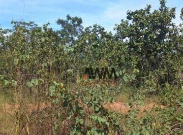 Imagem 1 · Fazenda