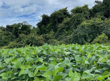 Imagem 1 · Fazenda para venda em Área Rural de Uberlândia, Uberlândia
