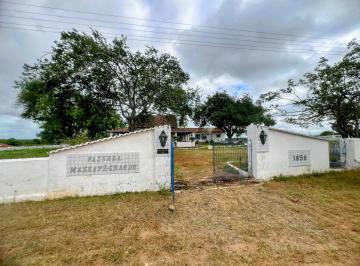 Imagem 1 · Fazenda