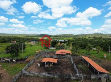 Imagem 1 · Fazenda