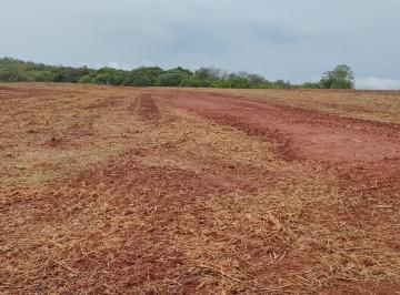 Imagem 1 · Fazenda