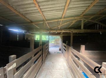 Imagem 1 · Fazenda