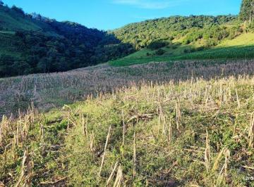 Imagem 1 · Fazenda