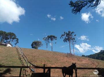 Imagem 1 · Fazenda
