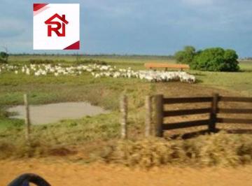 Imagem 1 · Fazenda