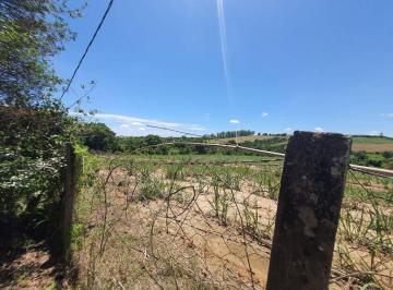 Imagem 1 · Fazenda