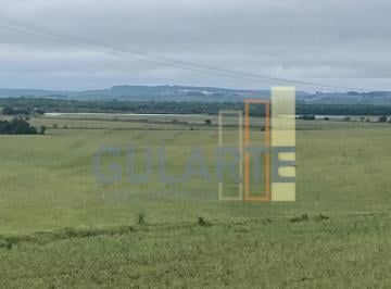 Imagem 1 · Fazenda