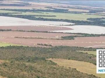 Imagem 1 · Fazenda