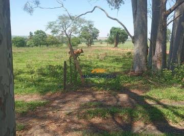 Imagem 1 · Fazenda