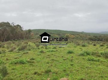 Imagem 1 · Fazenda