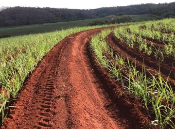 Imagem 1 · Fazenda