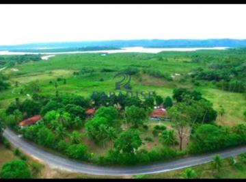 Imagem 1 · Fazenda