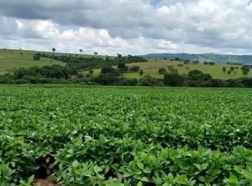 Imagem 1 · Fazenda