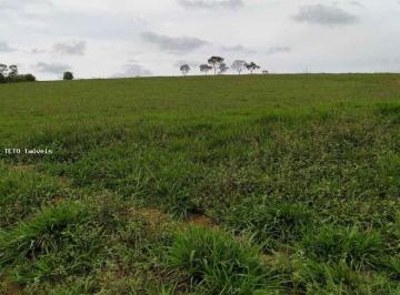 Imagem 1 · Fazenda