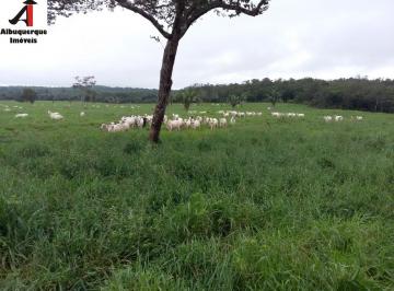 Imagem 1 · Fazenda