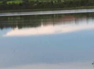 Imagem 1 · Fazenda