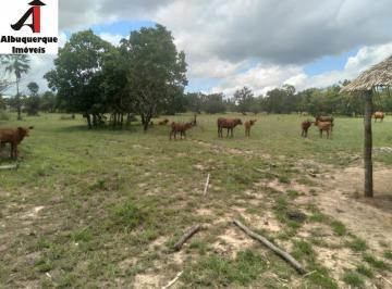 Imagem 1 · Fazenda