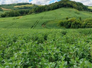 Imagem 1 · Fazenda