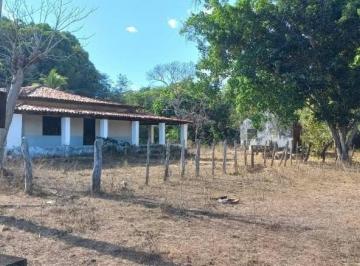 Imagem 1 · Fazenda