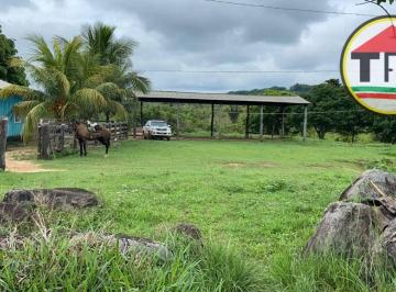 Imagem 1 · Fazenda