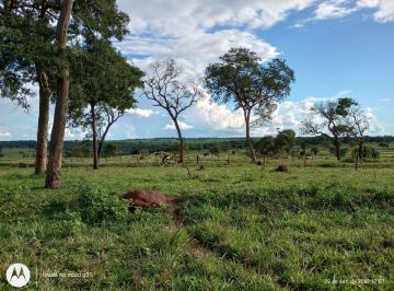 Imagem 1 · Fazenda