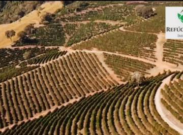 Imagem 1 · Fazenda