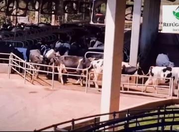 Imagem 1 · Fazenda