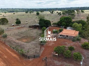 Imagem 1 · Fazenda