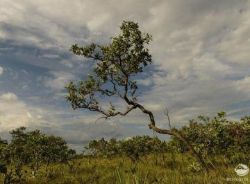 Imagem 1 · Fazenda para venda em Centro, Niquelândia