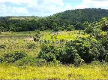 Imagem 1 · Fazenda