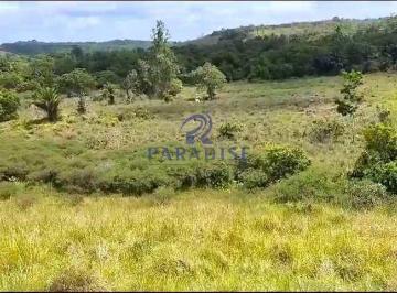 Imagem 1 · Fazenda para venda em Centro, Pojuca