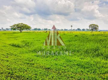Imagem 1 · Fazenda