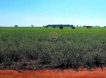 Imagem 1 · Fazenda para venda em Jardim Goiás, Goiânia
